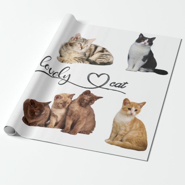 Packung mit Katzen, Funny Cats Geschenkpapier (Ungerollt)