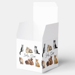 Packung mit Katzen, Funny Cats Geschenkschachtel