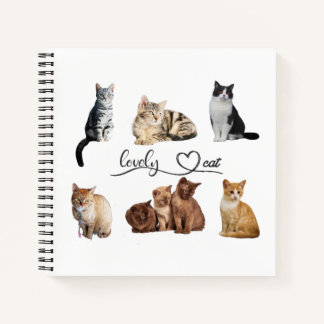 Packung mit Katzen, Funny Cats Notizbuch