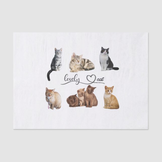 Packung mit Katzen, Funny Cats Seidenpapier (Vorderseite)