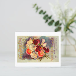 Packungsbeilage Postkarte. Postkarte