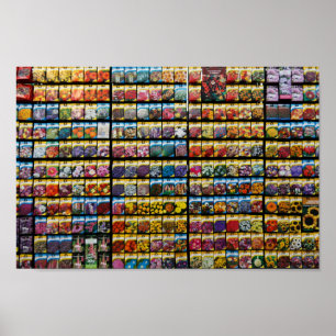 Packungsdoster Poster