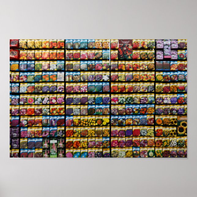 Packungsdoster Poster (Vorne)