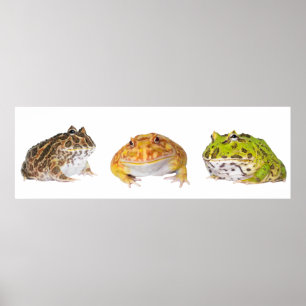 Pacman Poster Panorama