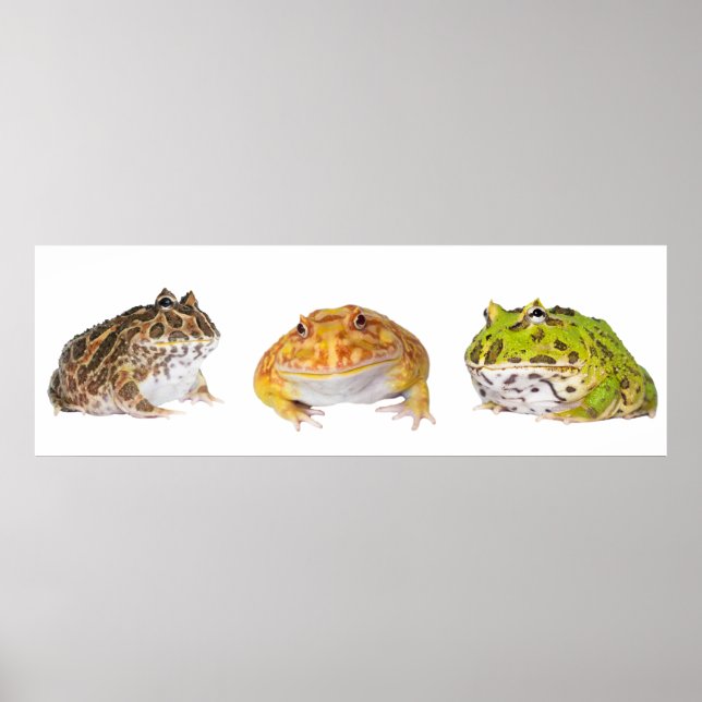 Pacman Poster Panorama (Vorne)