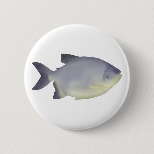 Pacu caranha button