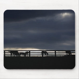Pad für Pferdeschwalbe Mousepad