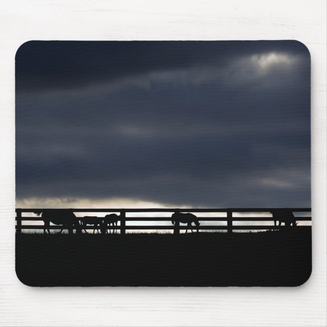 Pad für Pferdeschwalbe Mousepad (Vorne)