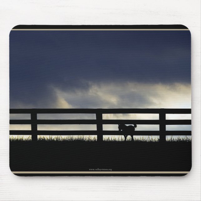 Pad für Pferdeschwalbe Mousepad (Vorne)