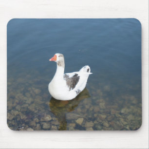 Pad Mousepad
