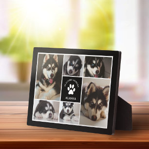 Pad Print Pet in Love Memory Black Foto Collage Fotoplatte