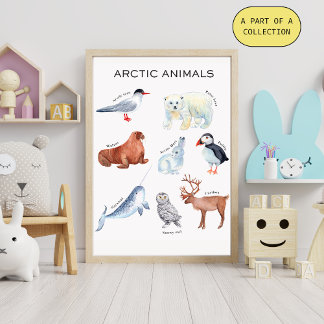 Pädagogisches Poster über Arktische Tiere