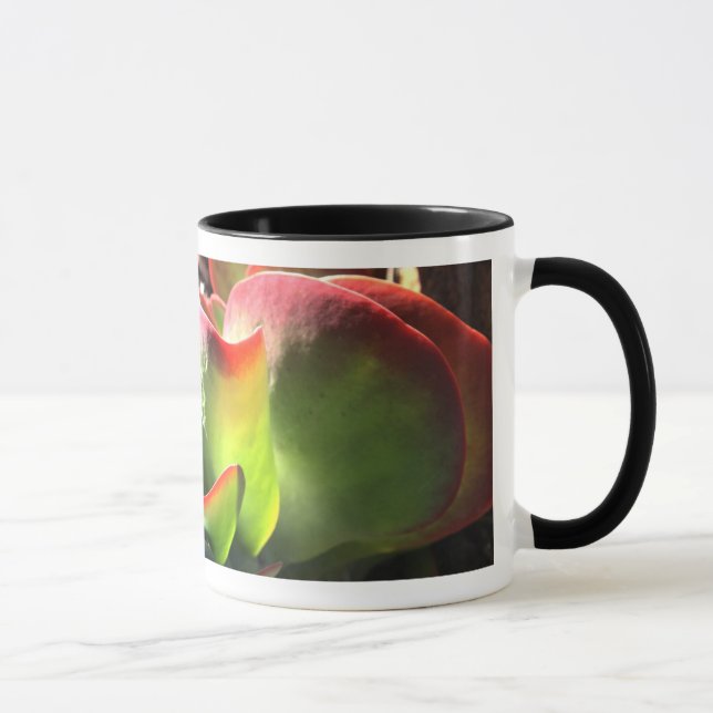 Paddel-Pflanzen-Kaffee-Tasse Tasse (Rechts)