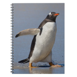 Paddelnder Gentoo-Notizbuch Notizblock