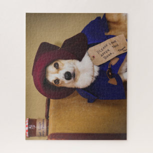 Paddington Corgi-Puzzle 500 Puzzle
