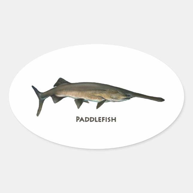 Paddlefisch Ovaler Aufkleber (Vorderseite)