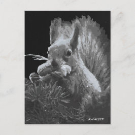 Paddy Cake, Squirrel Postkarte