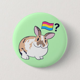 Paddy Pride Abzeichen (Pansexual) Button