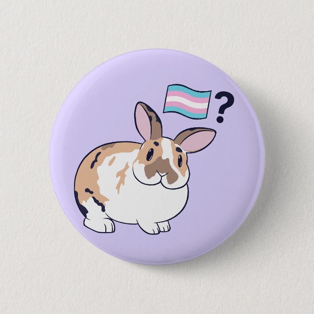 Paddy Pride Abzeichen (Transgender) Button (Vorderseite)
