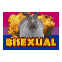 Paddy Pride Poster (Bisexuell)