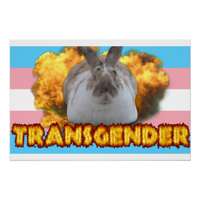 Paddy Pride Poster (Transgender) (Vorderseite)