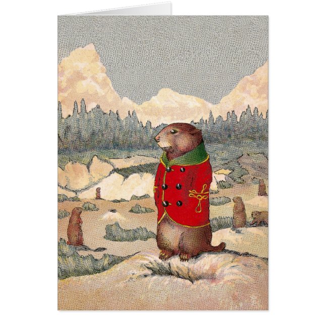 Paddy-Tatzen in der Präriehund-Stadt (Vorne)