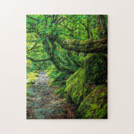 Padley Gorge, Debryshire Puzzle