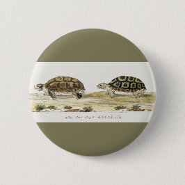 Padloper Tortoise Button