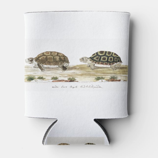 Padloper Tortoise Dosenkühler (Vorderseite)