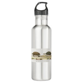 Padloper Tortoise Edelstahlflasche