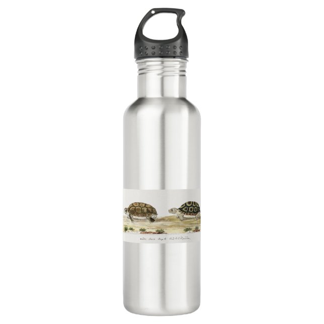 Padloper Tortoise Edelstahlflasche (Vorderseite)