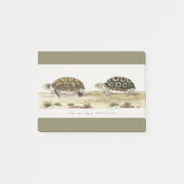 Padloper Tortoise Post-it Klebezettel