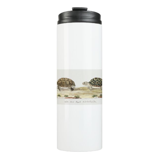 Padloper Tortoise Thermosbecher (Vorderseite)