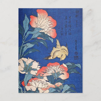 Paeonia Lactiflora und atlantischer Kanarienvogel  Postkarte