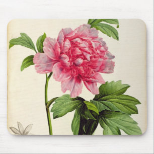 Paeonia Moutan, c.1799 Mousepad