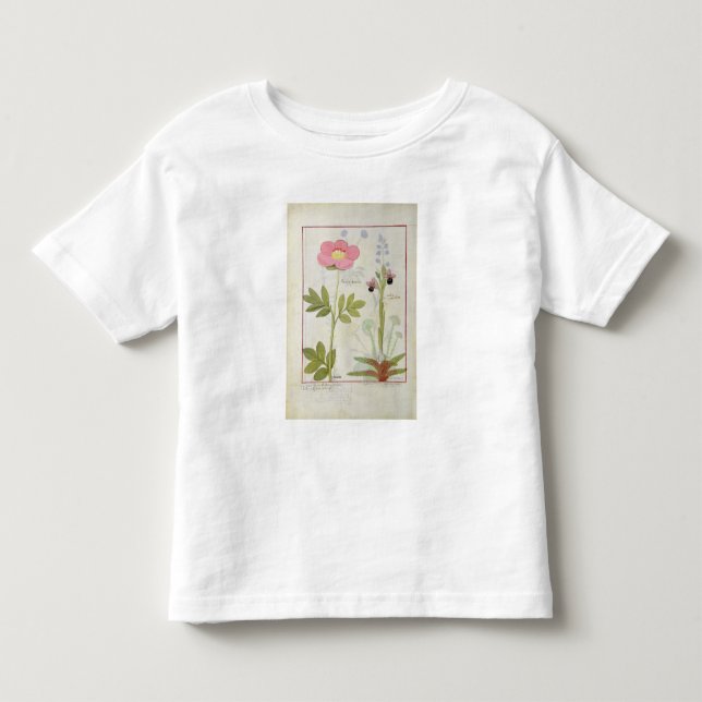 Paeonia oder Pfingstrose und Orchis myanthos Kleinkind T-shirt (Vorderseite)