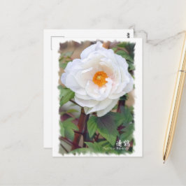 Paeonia "Renkaku"Postcard] ポ ス ト ド Postkarte