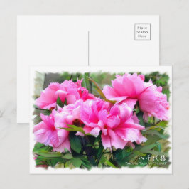 Paeonia "Yachiyo-Tsubaki"[Postkarte] ポ ス ト  ド Postkarte