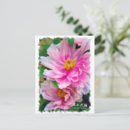 Paeonia "Yachiyo-Tsubaki"[Postkarte] ポ ス ト  ド Postkarte