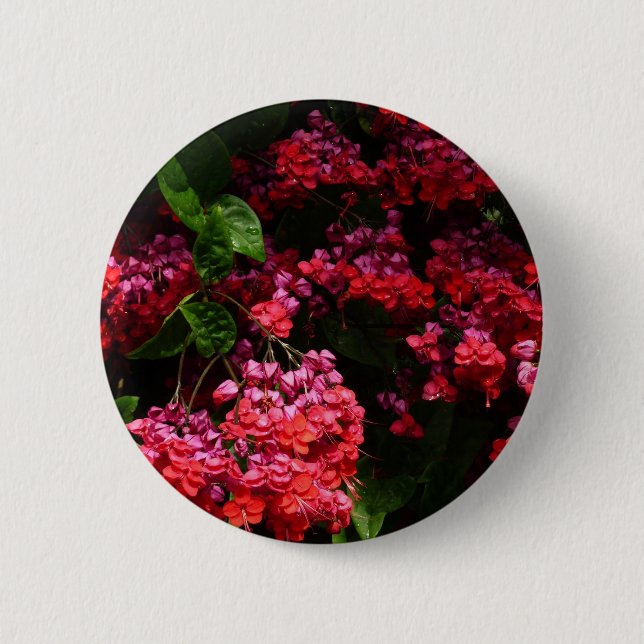 Pagode Blume farbenfroh rot und rosa Button (Vorderseite)