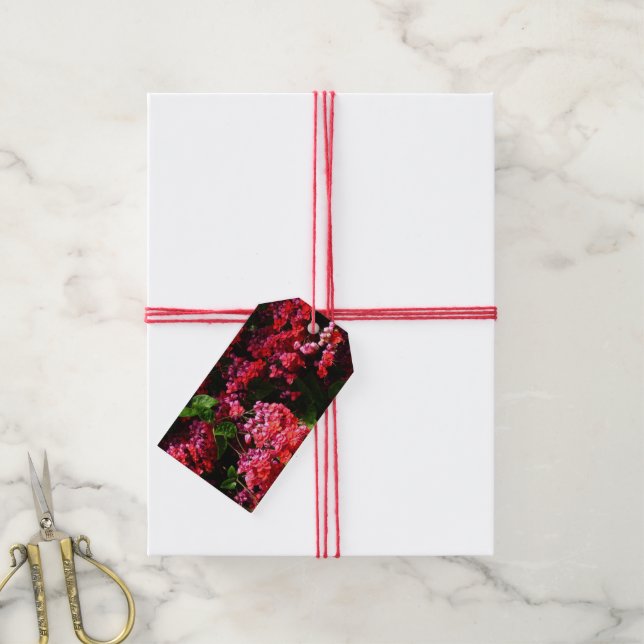 Pagode Blume farbenfroh rot und rosa Geschenkanhänger (Mit Garn)
