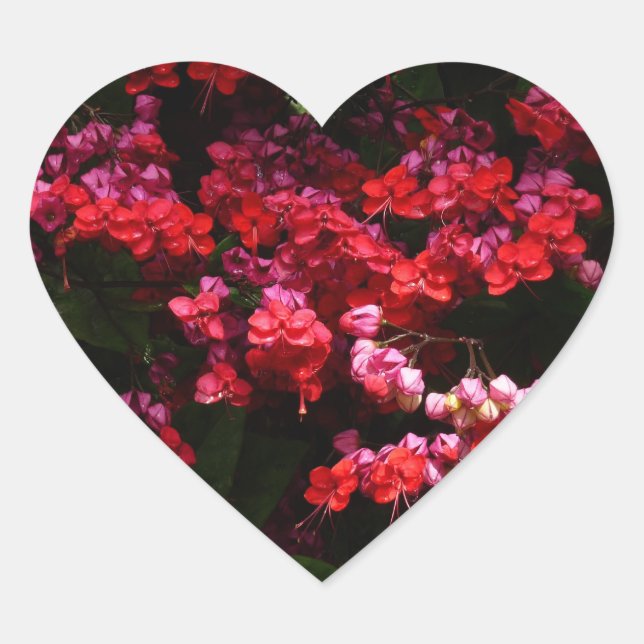 Pagode Blume farbenfroh rot und rosa Herz-Aufkleber (Vorderseite)