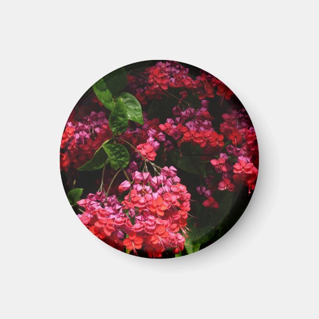 Pagode Blume farbenfroh rot und rosa Magnet (Vorne)