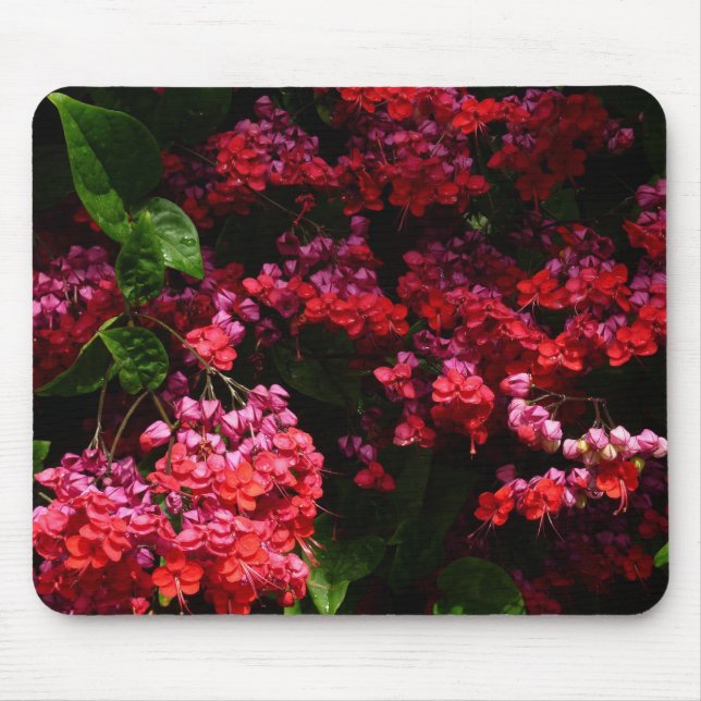 Pagode Blume farbenfroh rot und rosa Mousepad (Vorne)
