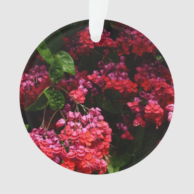 Pagode Blume farbenfroh rot und rosa Ornament (Vorderseite)