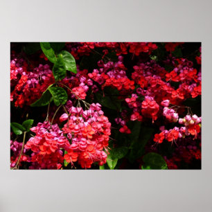 Pagode Blume farbenfroh rot und rosa Poster