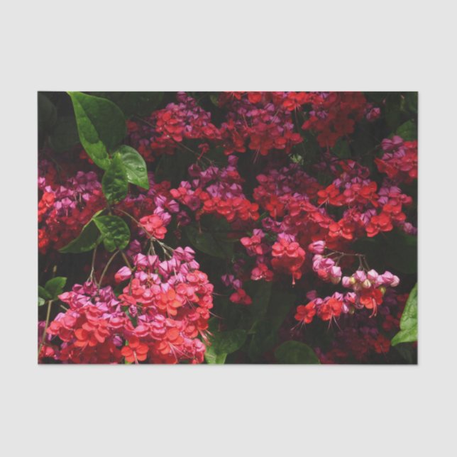 Pagode Blume farbenfroh rot und rosa Seidenpapier (Vorderseite)