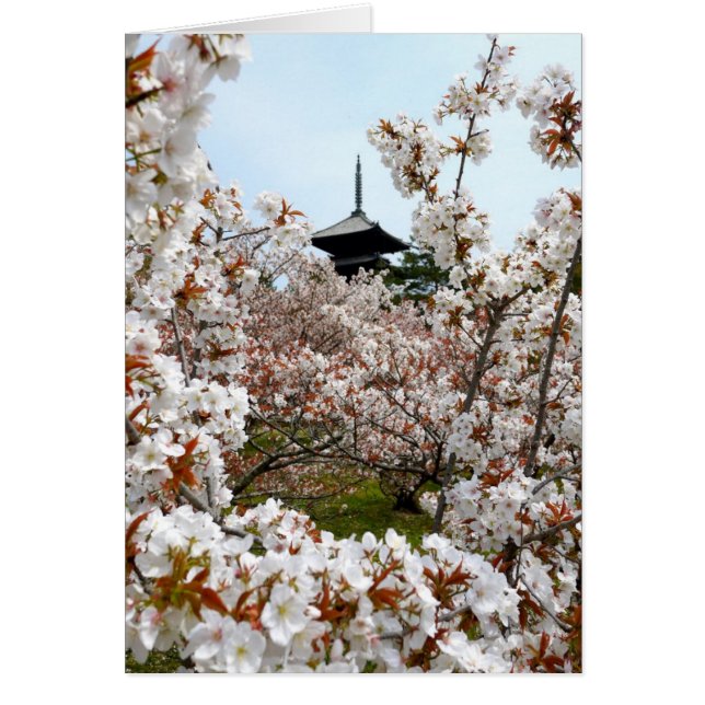 Pagode im Sakura-Garten (Vorne)