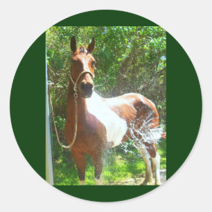 Paint Bath Runder Aufkleber