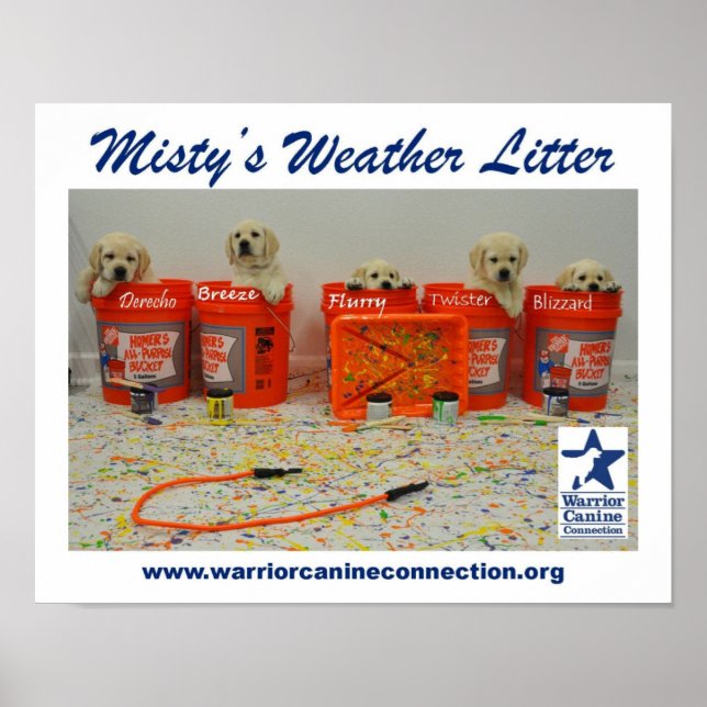 Paint Bucket Puppies Poster (Vorne)